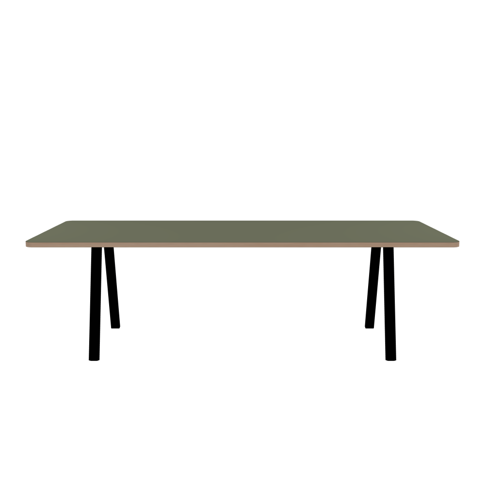 DIN PLUS Table - Shape Square - Length 250.00 cm - Width 100.00 cm - Radius 5.00 cm - Thickness 3 cm - Freeform 1.00000000 - Surface Linoleum, 4184 Olive - Core Laminboard - Edge Multiplex - Profile Edge 90° / DIN PLUS Table Frame - Material and Colour Powder-coated steel, Jet Black (RAL 9005) - Length 186 cm - Width S - Leg Profile Rectangular - Set 2 Pieces